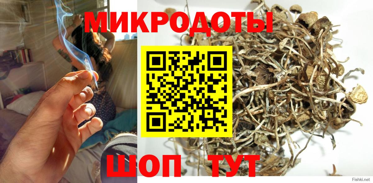 Галлюциногенные грибы Magic Shrooms  купить наркотик  Сочи  Вход с VPN 